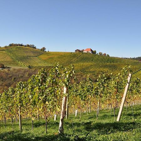 Bed and Breakfast Weingut Koegl à Ratsch an der Weinstraße Extérieur photo