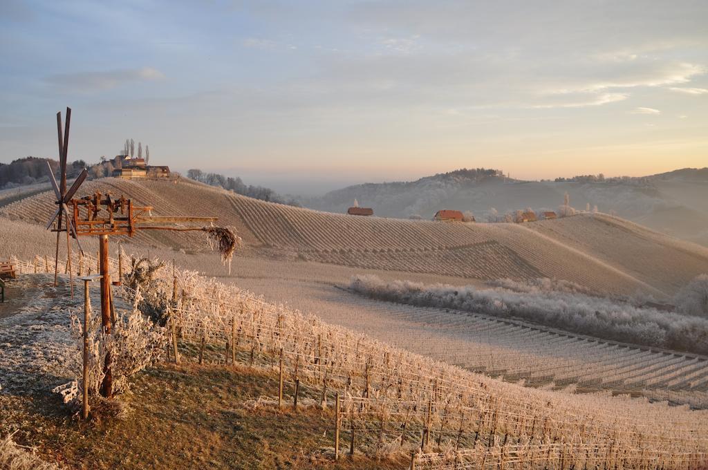 Bed and Breakfast Weingut Koegl à Ratsch an der Weinstraße Extérieur photo