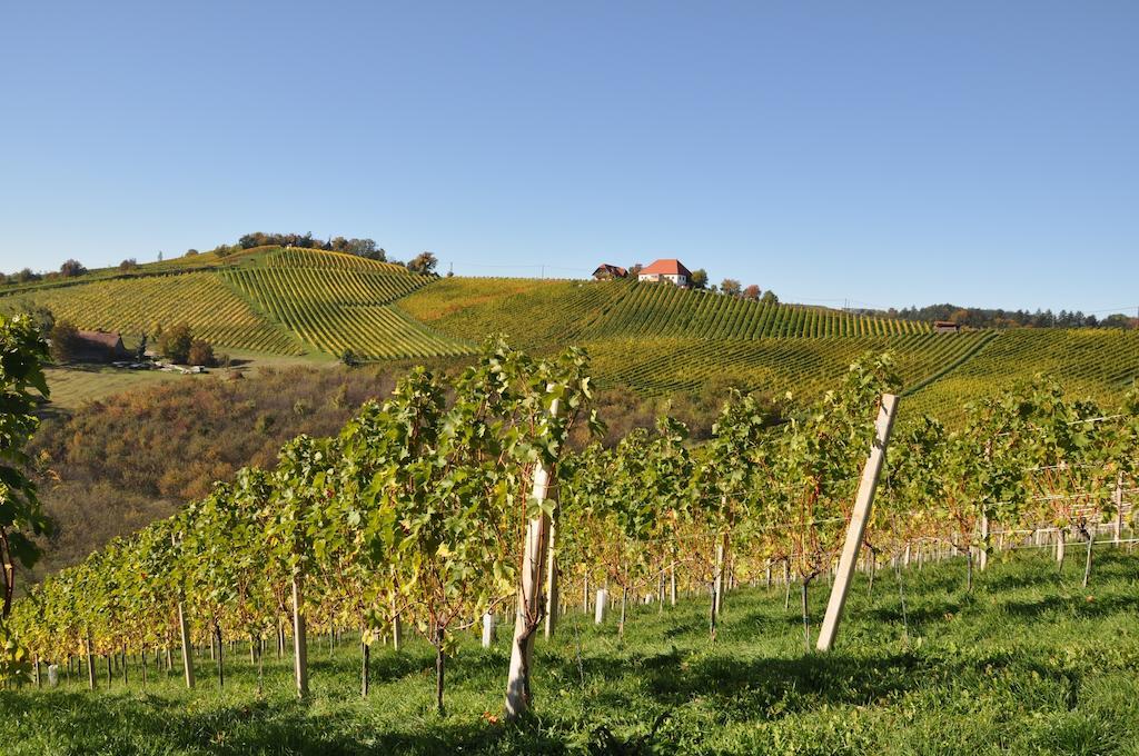 Bed and Breakfast Weingut Koegl à Ratsch an der Weinstraße Extérieur photo